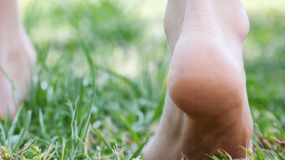 foto pedicurepraktijk valkenswaardDommelen